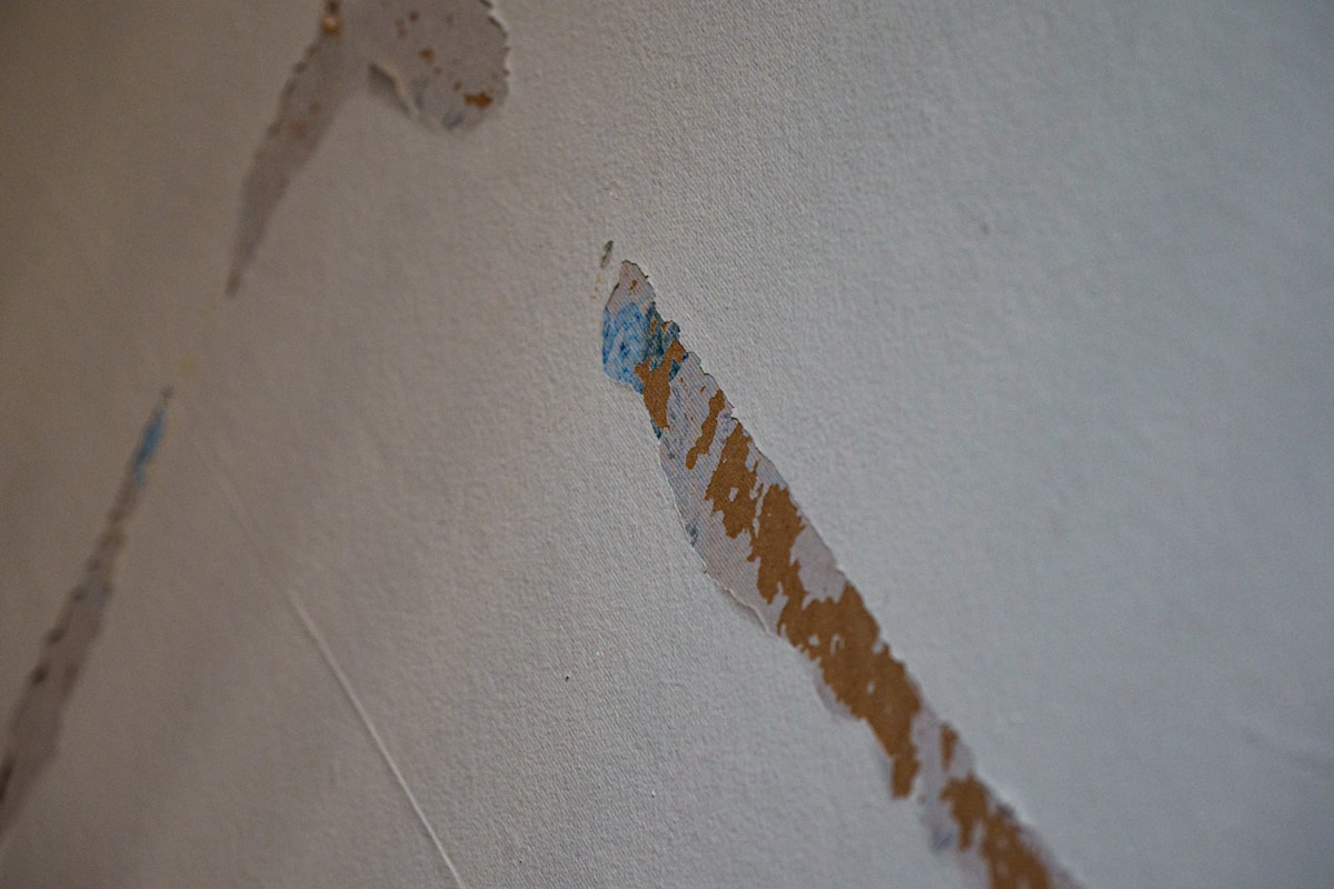 Commercial Water Damage service in Port Arthur, TX